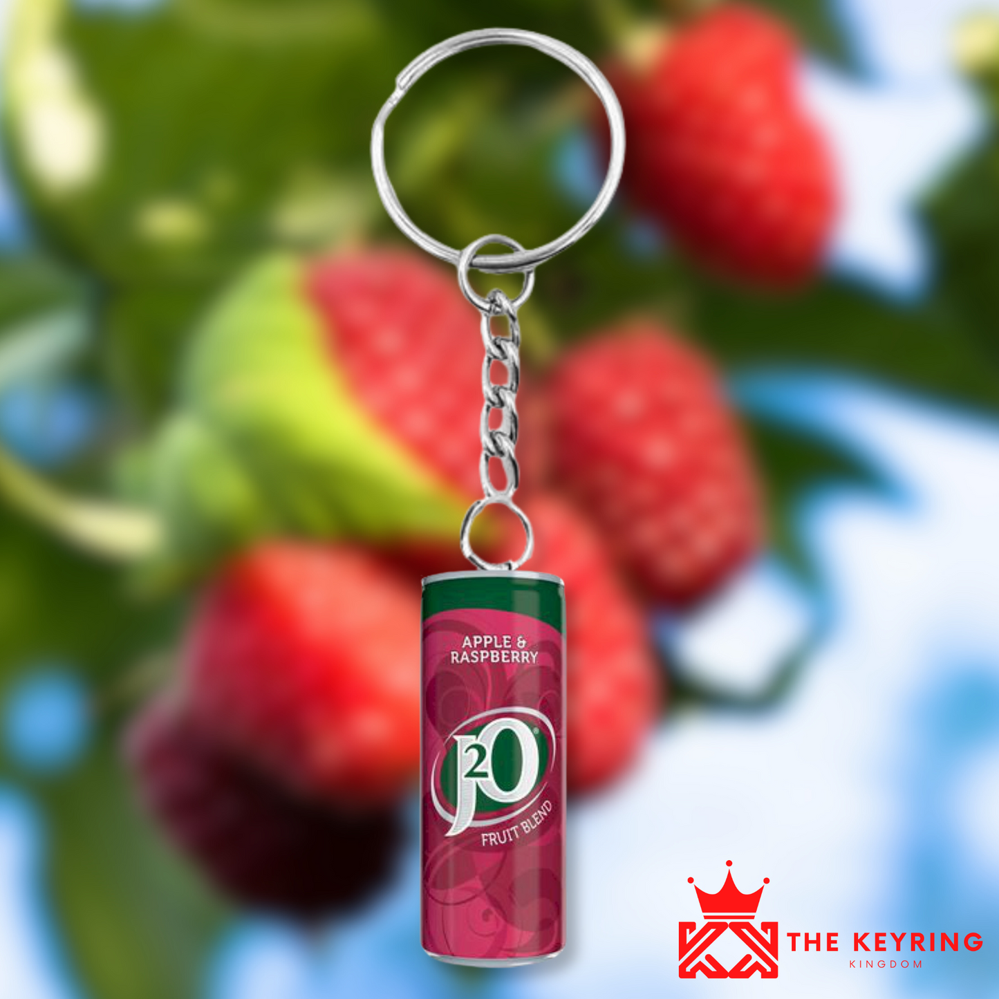 J20 Apple & Raspberry Can Keyring