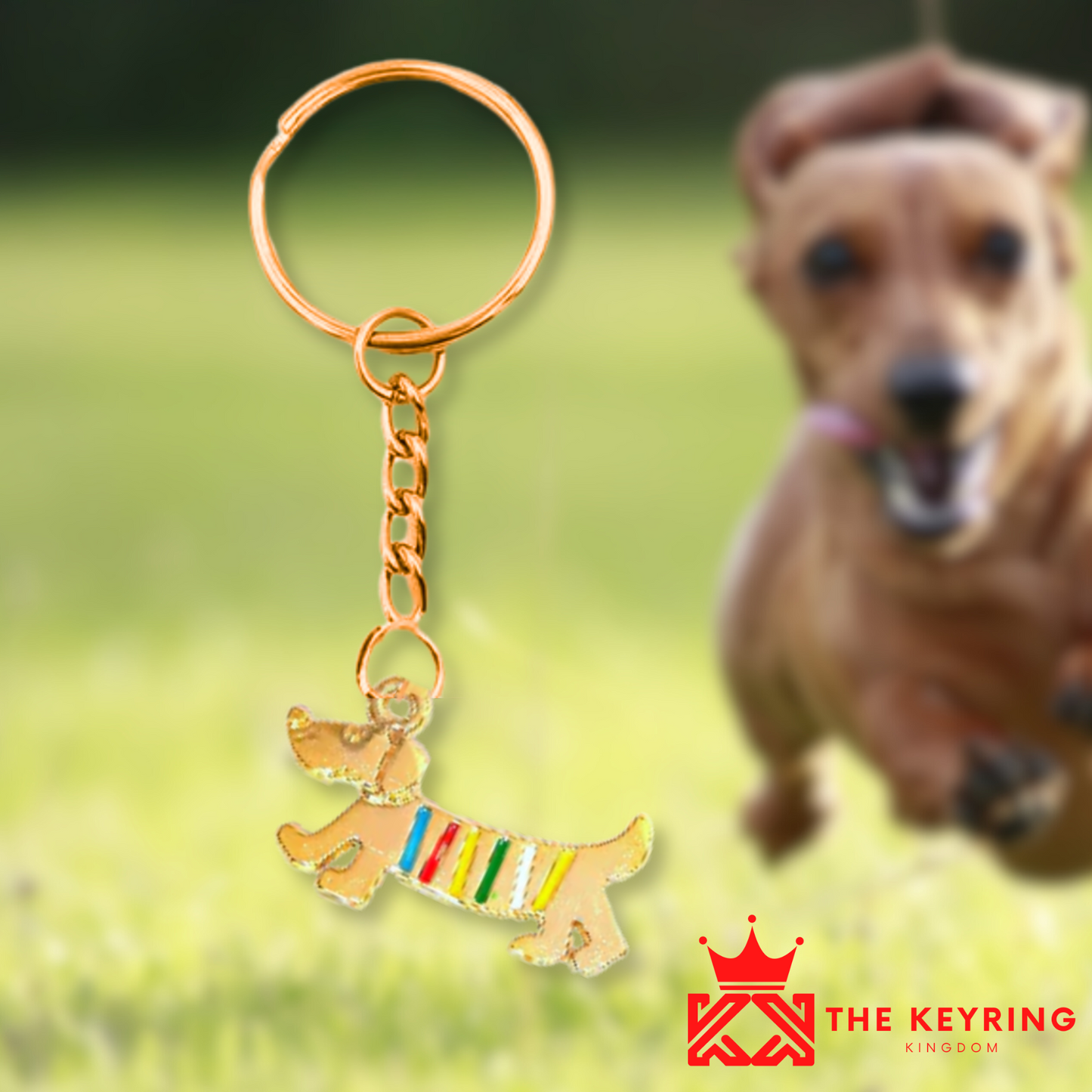 Golden Dachshund Keyring