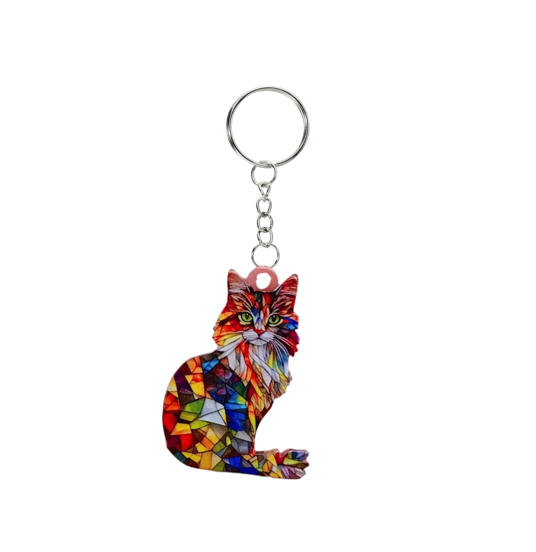 Colour Catch Cat Keyring